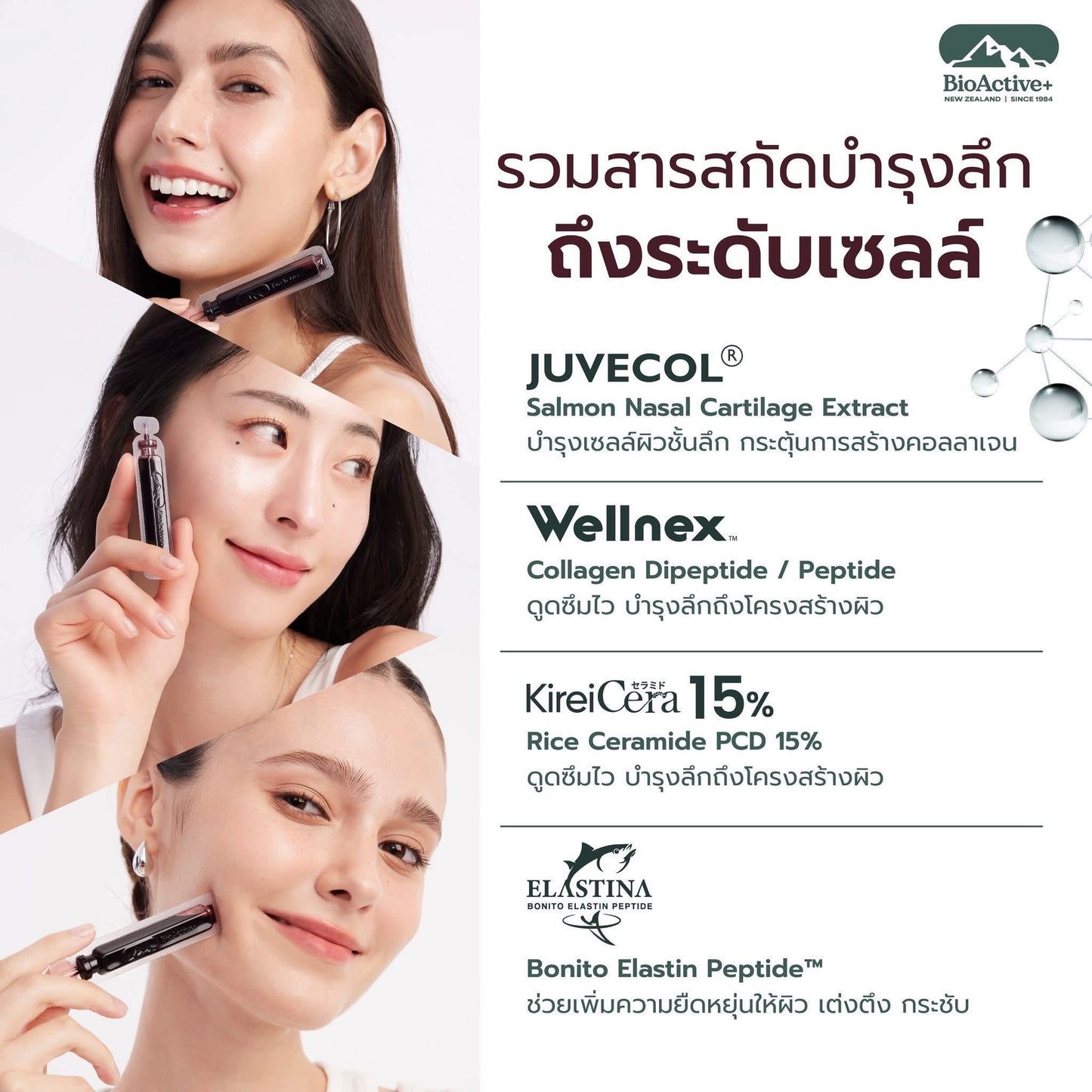 BioActive+ Concentrated Liquid Collagen