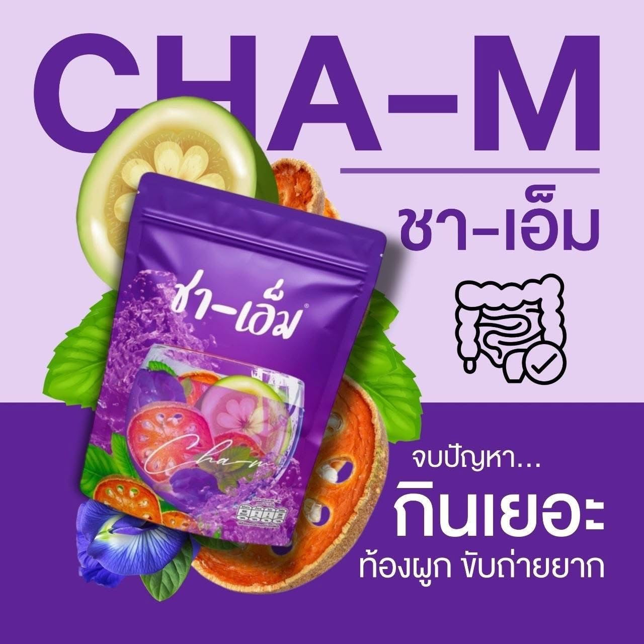 CHA-M Herbal Infusion Tea